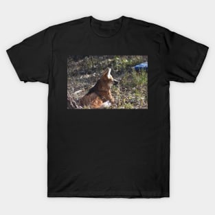 Maned Wolf T-Shirt